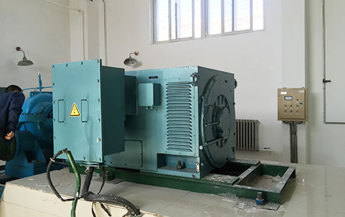 罗田某水电站工程主水泵使用我公司高压电机一年质保